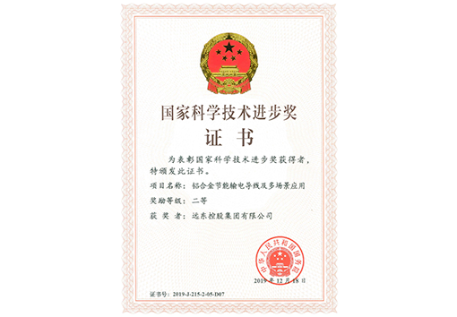 國(guó)家科學(xué)技術(shù)進(jìn)步獎(jiǎng)二等獎(jiǎng)