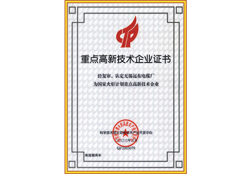 重點(diǎn)高新技術(shù)企業(yè)證書(shū)